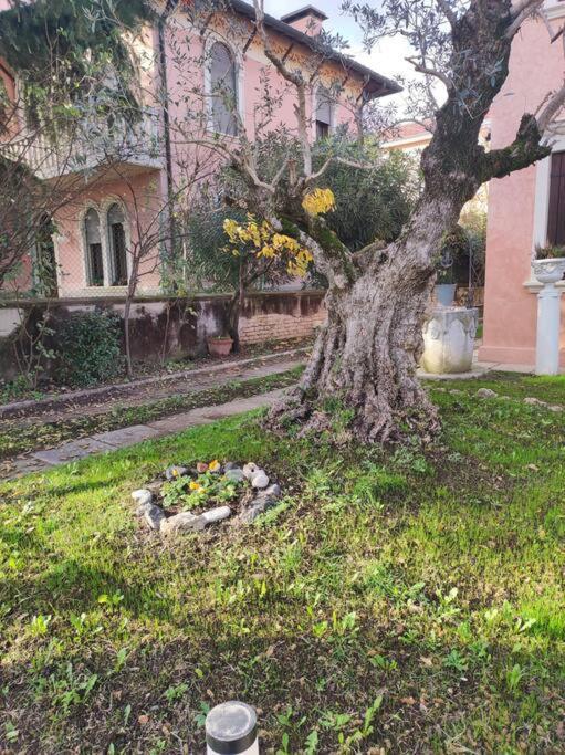 Casa Argia Villa Padova Eksteriør bilde